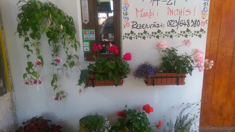 锡纳亚 特拉菲利克斯酒馆旅馆酒店 外观 照片